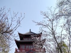 -堤角公园