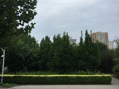 -丰台花园