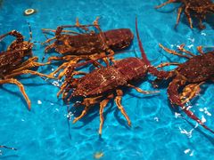 -万宝海鲜舫(劳动公园店)