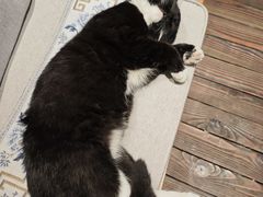 -龙源茶坊(白银路店)