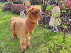 -天目湖涵田度假村