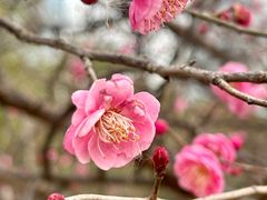 -艾溪湖湿地公园