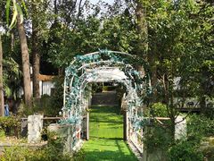 -思念果岭湖畔花房餐厅