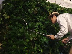 -比斯特上海购物村精品奥特莱斯