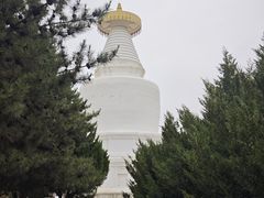 -凉州白塔寺景区