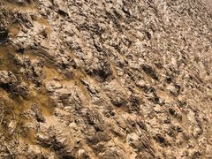 -亿利库布其七星湖沙漠生态旅游区