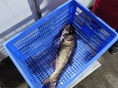 -笑红饭庄