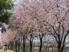 -广东财经大学(广州校区)