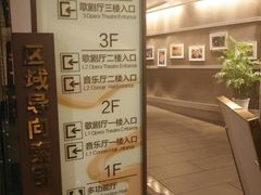 -合肥大剧院