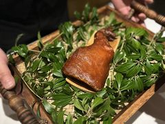 -蝶舍·MAISON PAPILLON