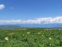 -新疆那拉提国家旅游度假区
