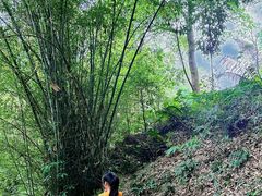 -大雁山风景区