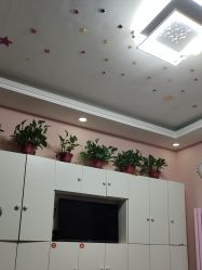 -香薇妮丝·定制减肥·身材管理