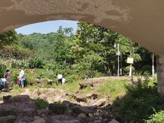 -重庆彩云湖湿地公园