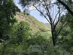 -抱龙峪