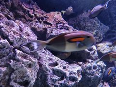 -成都浩海立方海洋公园