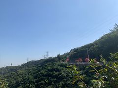 -仙岳公园