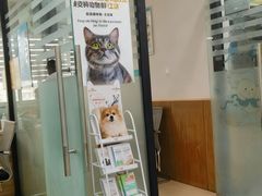 -瑞派雷欧宠物医院·24h夜诊·心脏骨科牙科·全科重症转诊中心(无影山店)