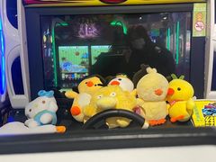 -大鲁阁保龄球(苏州园区店)