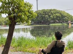 -动邦皮划艇·桨板·独木舟·团建户外运动俱乐部
