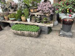 -头上红煨盐鸡乡村食府