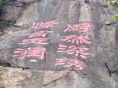 -铁山坪森林公园