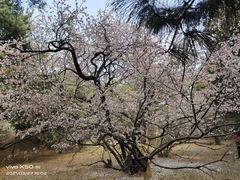 -国家植物园南园