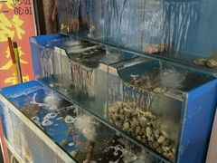 水产区-小郭私房菜·海肠捞饭店(学士街店)