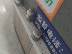-半岛宠物医院24小时(白果林店)