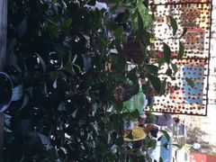 -凤凰山斑鱼馆(恭城店)