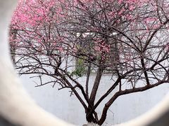 -八大山人梅湖景区