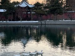 -晋祠公园