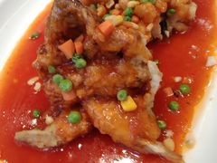松子鲑鱼-新南华大酒店(广中店)