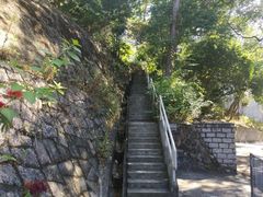 -大埔公路-马料水段香港中文大学(公交站)