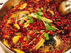 -味之绝热血美蛙鱼火锅(中坝店)