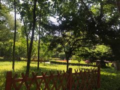 -徐家汇源景区-衡山公园