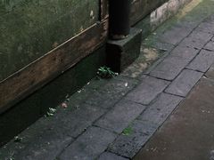 -潜口民宅博物馆