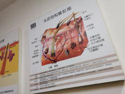 -章光101防脱养发荟