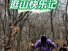 -紫金山山顶公园
