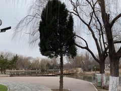 -南翠屏公园