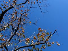 -水峪民俗村