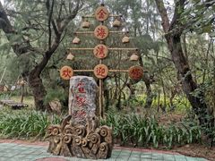 -北海金海湾红树林生态旅游区