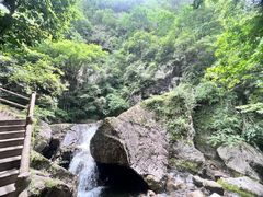 -牛背梁国家森林公园