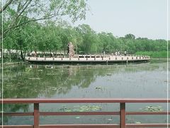 -绿堤公园
