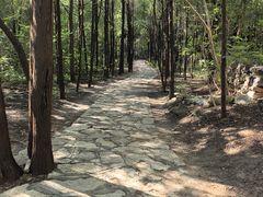 -青州市云门山风景区