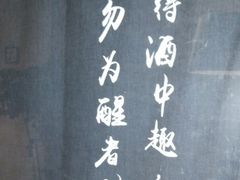 -MEDISN·药厂