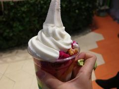 -三佰瑞冻酸奶(凯德MALL店)