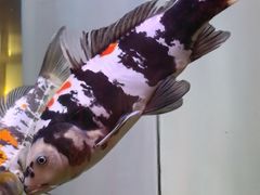 -秤砣砣·湖南粉面馆(青年路店)