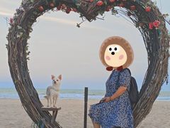 -日照海滨国家森林公园