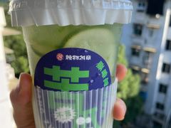 苦瓜柠檬茶-炖物24章·顺时轻养茶(杭州大厦店)